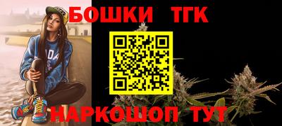 индика Рыбинск