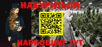 индика Рыбинск