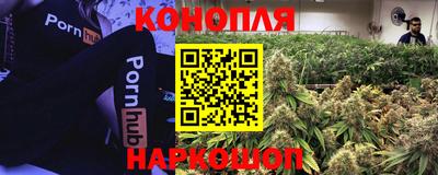 индика Рыбинск