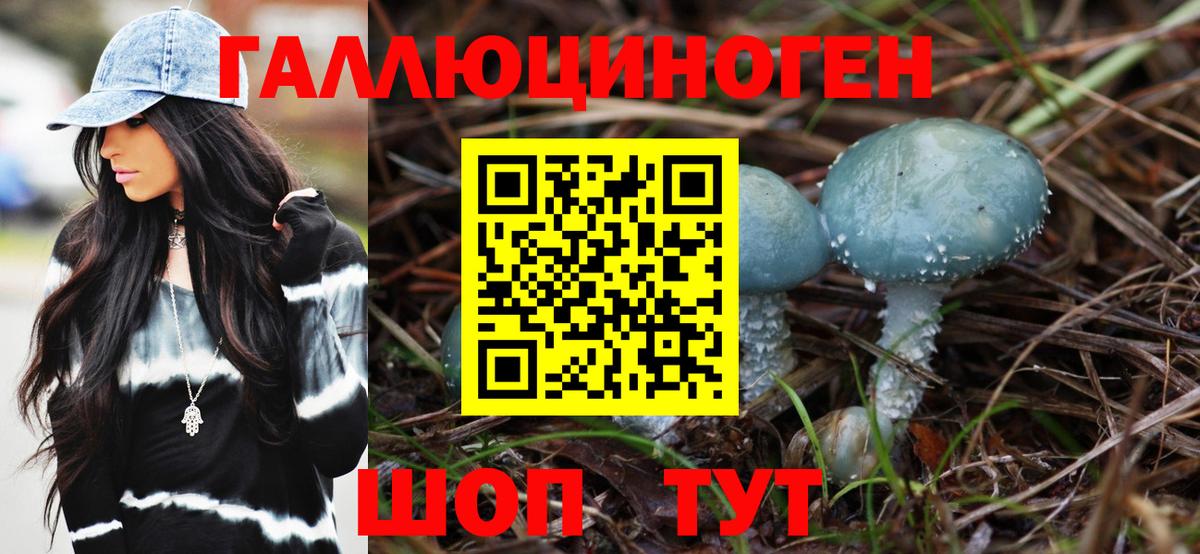 Псилоцибиновые грибы Magic Shrooms  Вход с VPN  Псилоцибиновые грибы GOLDEN TEACHER  Приморско-Ахтарск 